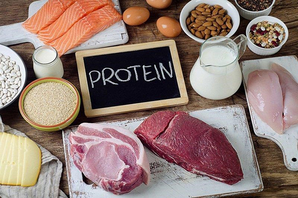 Thực đơn ăn dặm cho bé 8 tháng cần có protein