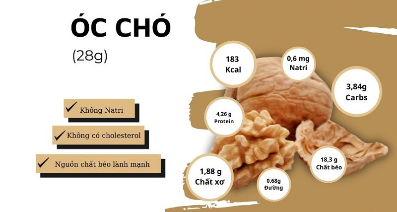 Lợi ích sức khỏe của sữa hạt óc chó